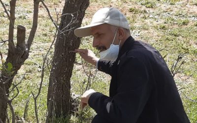 زنگ خطر تازه برای اکوسیستم زاگرس
